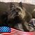 Cindy Bodker's profile image