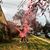 Daniela Cascio Christopher's profile image