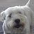 Mary Campbell Lander's profile image