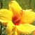 Janese Cerklewich's profile image