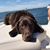 Alli Dejak's profile image