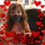 Dawn Marie Bates-Buchanan's profile image