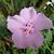 Kimberly Phillips Gagner's profile image