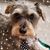 Teri Maloney's profile image