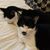 Gail Robinson McMurray's profile image
