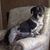 CeCe Arthur Thomas's profile image