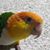 Toby Tolbert's profile image