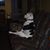 Carolann Larkin's profile image