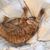 Darlene Ronica Buffa's profile image