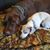 Cathy Roxbury's profile image