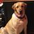 Liz Mackzum's profile image