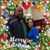 Toya Anderson's profile image