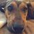 Andy Nourse's profile image