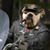 Mike Tomberlin's profile image