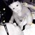 Carman Edmonds Uebelsteadt's profile image