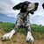 Missy Neal's profile image