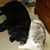 Melissa Daniels's profile image