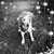 Karin Erika Knipphals's profile image