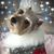 Lucymarie Wegmann Jones Suarez's profile image