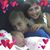 Tracy Meyer's profile image