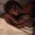 Elizabeth Cherry Slaughter's profile image
