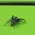 Cherie Mclaughlin-Shirk's profile image