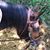 Margi Jones's profile image