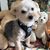 Cynthia L. Overby's profile image