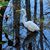 Teri Jeczen's profile image
