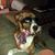 Dennis Lavin's profile image