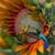 Renee Allen Silvers's profile image