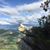Maleja Lemus's profile image
