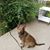 Mary Straneva Zebrowski's profile image
