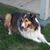Marge Benavidez's profile image