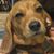 Terry Morgan Decker's profile image