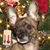 K Ay Nelson-Rigetta's profile image