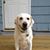 Elizabeth Eocaci-Tucker's profile image