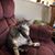 Claudia Scissons Sidener's profile image