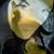 Chassidy Byrd's profile image