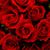Carmen Ponce's profile image