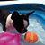 Lolli Rae's profile image