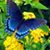 Dawn Davis's profile image