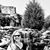 Sharon Kohrs's profile image