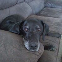 John Baumgardner's profile image