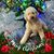 Debbi Rountree's profile image