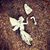 Robin Elliott Smith's profile image