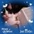 Pam Kitchen Tysinger's profile image