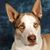 Jerry Wilson's profile image