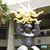 Pan Tangible's profile image