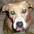 Katrina Pittman's profile image